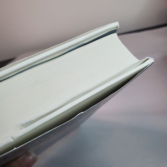 Beverly LaHaye & Terri Blackstock Season Series Mixed Lot of 4 Books PB HC - Picture 14 of 14